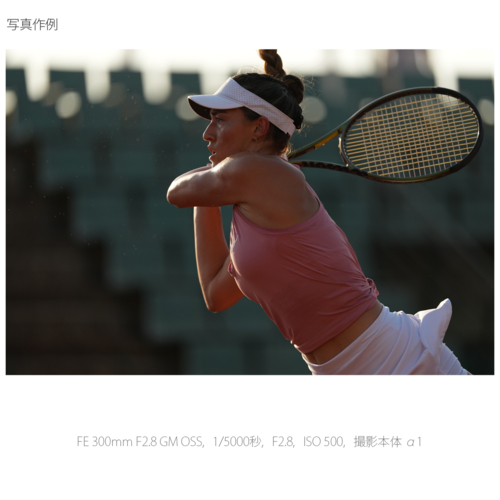 【長期保証付】ソニー(SONY) FE 300mm F2.8 GM OSS SEL300F28GM Eマウント用 フルサイズ 望遠単焦点レンズ_8