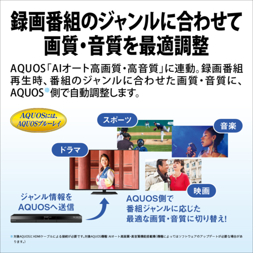 シャープ(SHARP) 2B-C10GW1 AQUOS アクオス ブルーレイディスクレコーダー 2チューナー 1TB