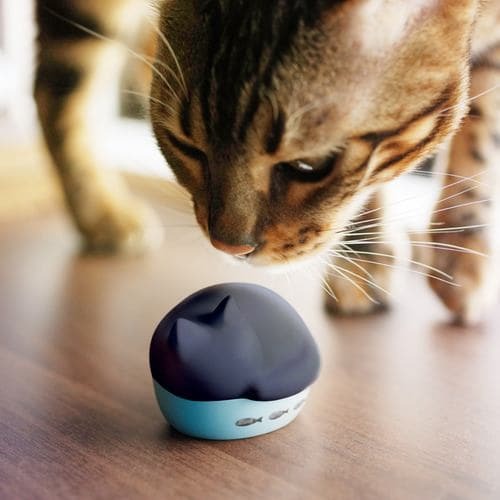 ラディウス(radius) HP-C28BTW シロ 猫のかたちの完全ワイヤレス