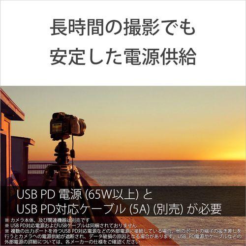ソニー(SONY) DC-C1 DCカプラー_2
