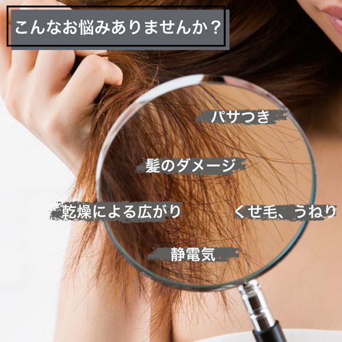 enas イーネーズ Caviar Dryer キャビアドライヤー ECDR1301 ECDR1301_2