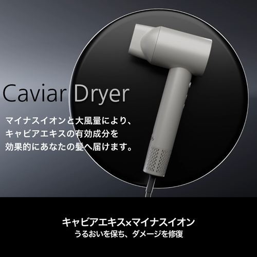 enas イーネーズ Caviar Dryer キャビアドライヤー ECDR1301 ECDR1301_3