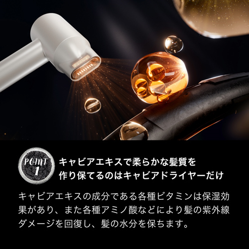 enas イーネーズ Caviar Dryer キャビアドライヤー ECDR1301 ECDR1301_5