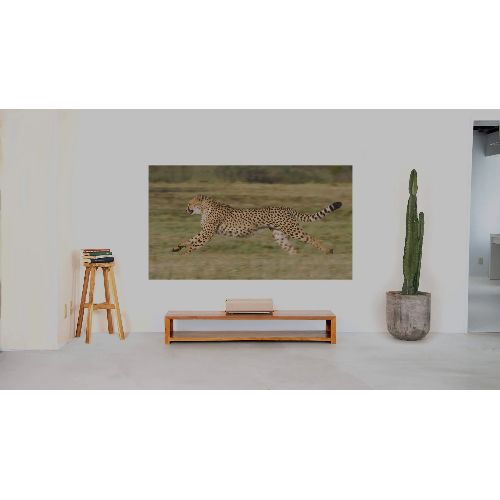 AladdinX(アラジンX) Aladdin Marca XM03F 超短焦点プロジェクター