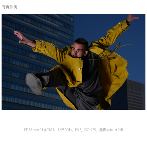 【長期保証付】ソニー(SONY) FE 85mm F1.4 GM II SEL85F14GM2 ソニー Eマウント 中望遠単焦点レンズ_10
