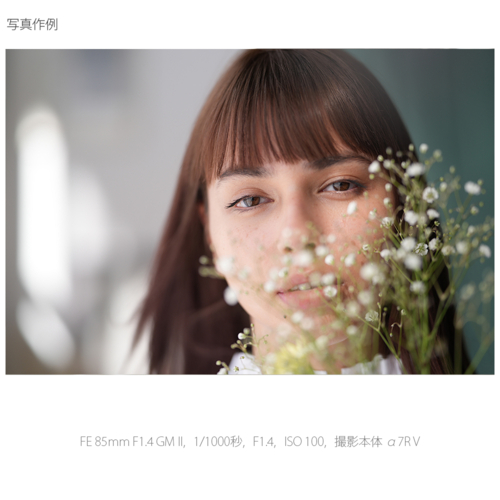 【長期保証付】ソニー(SONY) FE 85mm F1.4 GM II SEL85F14GM2 ソニー Eマウント 中望遠単焦点レンズ_7