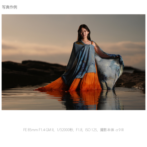 【長期保証付】ソニー(SONY) FE 85mm F1.4 GM II SEL85F14GM2 ソニー Eマウント 中望遠単焦点レンズ_8