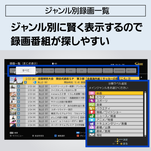 パナソニック(Panasonic) DMR-2W203 DIGA どこでもディーガ ブルーレイディスクレコーダー 2TB