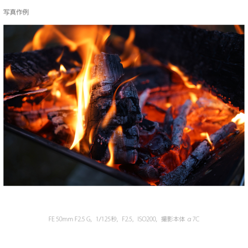 ソニー(SONY) FE 50mm F2.5 G SEL50F25G Eマウント用 フルサイズ 単焦点レンズ_4