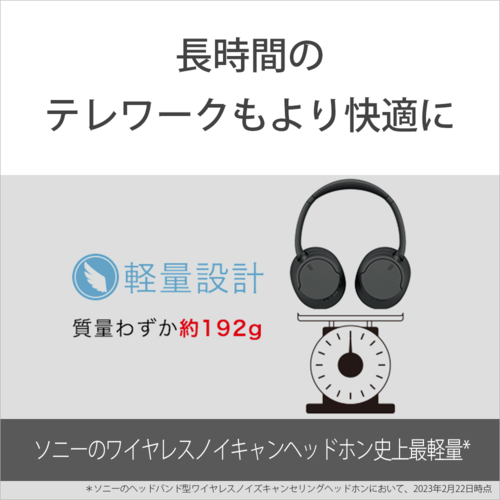 【長期保証付】ソニー(SONY) WH-CH720N L ブルー ワイヤレスノイズキャンセリングステレオヘッドセット_2
