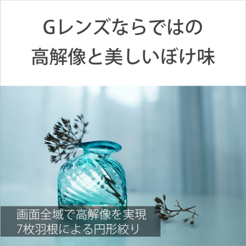 ソニー(SONY) E 15mm F1.4 G SEL15F14G Eマウント用 APS-C 単焦点レンズ_3