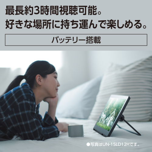 【長期5年保証付】パナソニック Panasonic UN-10L12 プライベート・ビエラ 防水モデル 10V型_1