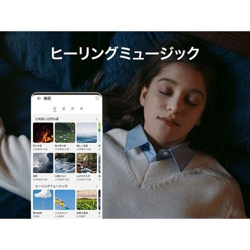 HUAWEI(ファーウェイ) HUAWEI Band 10 Aluminum Edition グリーン スマートバンド 55020ELF_12