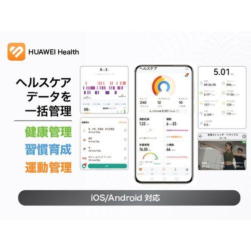 HUAWEI(ファーウェイ) HUAWEI Band 10 Aluminum Edition グリーン スマートバンド 55020ELF_19