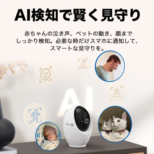 TP-Link(ティーピーリンク) Tapo C260 Tapo 4K パンチルトスマートAI