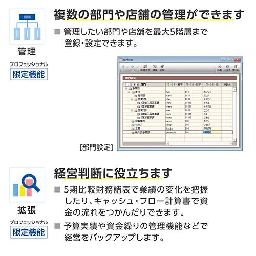 弥生 弥生会計 26 プロフェッショナル 通常版 YRAV0001_5