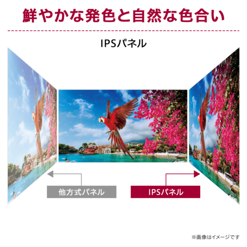 LGエレクトロニクス(LG) 27BF410B-B LG Monitor 27型 IPS フルHD HDR10 HDMI120Hz アナログ入力75Hz モニター ディスプレイ_8