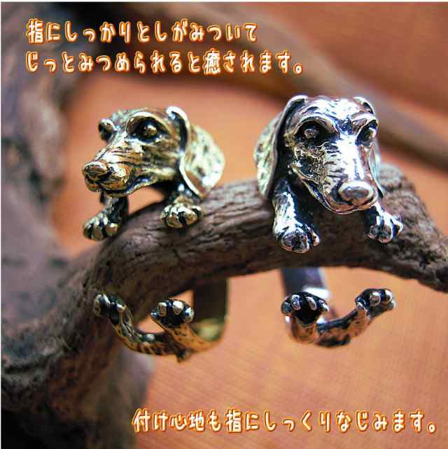Amazon | ダックスフンド 犬 リング 指輪 ドッグ ワンコ