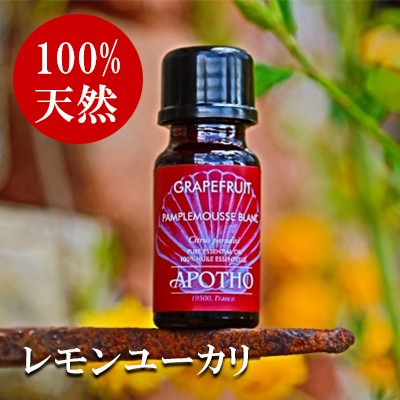 アロマオイル レモンユーカリ アポソ Apotho 10ml エッセンシャルオイル 精油の通販はau Pay マーケット Kohsui Com 香水問屋 Au Pay マーケット店