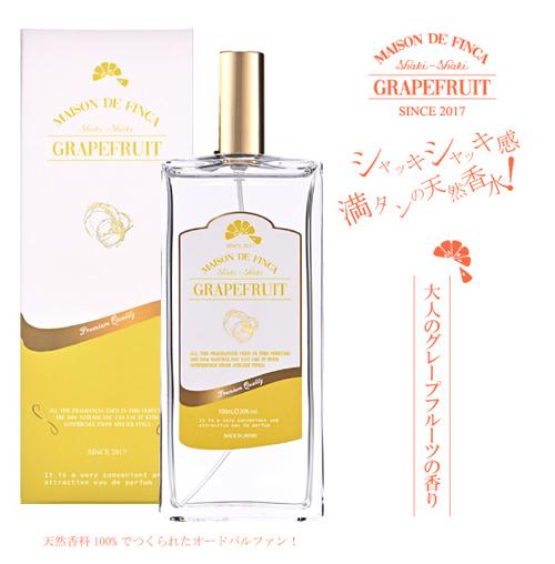 メキシコ シルバー 弾む ボトル 香水ボトル アロマ オニキス  