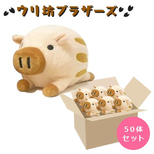 ウリ坊ブラザーズ ベージュ 50体セット ぬいぐるみ 景品 ばらまき 大量 縁日 お祭り 子供会 販促品の通販は
