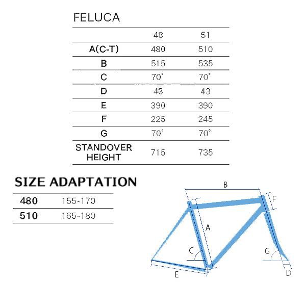 【送料無料】【代引不可】25ジオス FELUCA ブラック