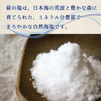 萩の塩 25g ×48本セット_1