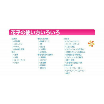 酸素系多目的洗剤　花子　10kg　業務用 4990911332412_5