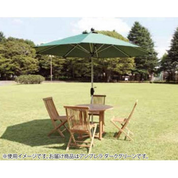 3.0mΦ アルミアンブレラ ダークグリーン 13076 4511541130768の通販は