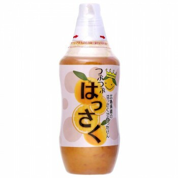 北川村ゆず王国　つぶつぶはっさく　480g　12個セット　 22179の通販は