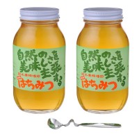 鈴木養蜂場　はちみつ　大瓶2本セット(菜の花1.2kg、レンゲ1.2kg、はちみつスプーン) 4549081069743の通販は