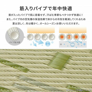 洗えるい草風カーペット やなぎ 江戸間4.5畳 グリーン 約261×261cm 81947545 4955872805894 室内・アウトドアどちらにも…_3