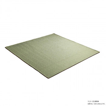 カーム ジャガードラグ 200×290cm グリーン 1293290127502