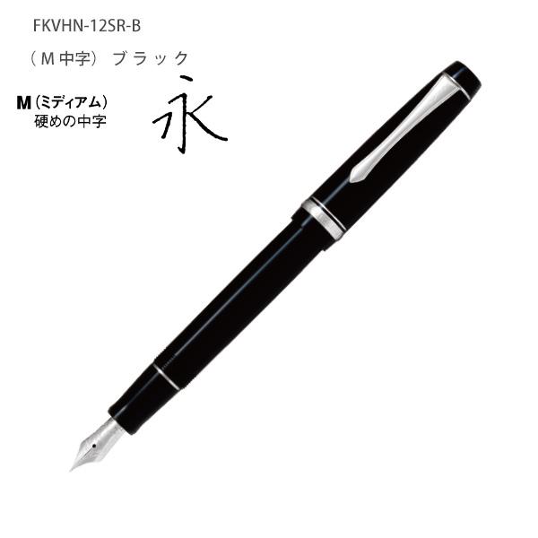 PILOT CUSTOM HERITAGE91 YAMAGURI 万年筆　字幅F パイロット 万年筆 CUSTOM HERITAGE カスタム ヘリテイジ91 ブラック