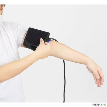 シチズン 血圧計 CHUH533 622278