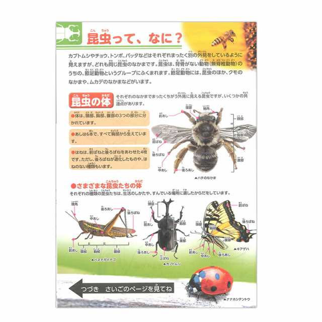 トーヨー 学べる ぬりえ 動く図鑑 Move 昆虫 こんちゅう カブトムシ 夏休みの通販はau Pay マーケット ブングショップ