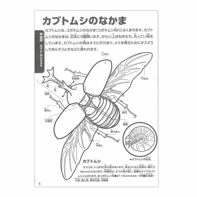 トーヨー 学べる ぬりえ 動く図鑑 Move 昆虫 こんちゅう カブトムシ 夏休みの通販はau Pay マーケット ブングショップ