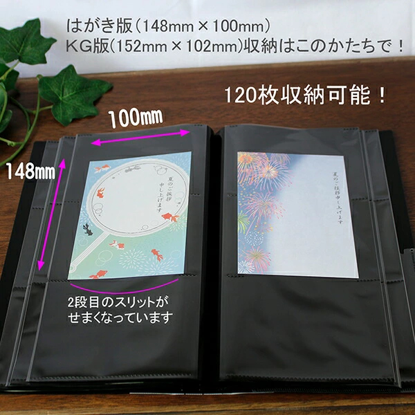 【10冊セット】 ナカバヤシ PHOTO GRAPHILIA フォトグラフィリア 360枚 PHL-1036 -Dブラック / -Bブルー / -Rレッド 黒台紙60枚 L判3段 360枚 パノラマ・KG判120枚 フォトアルバム 大容量 背見出し CDポケット付き スリップケース付 エンボス台紙 写真整理用アルバム_11