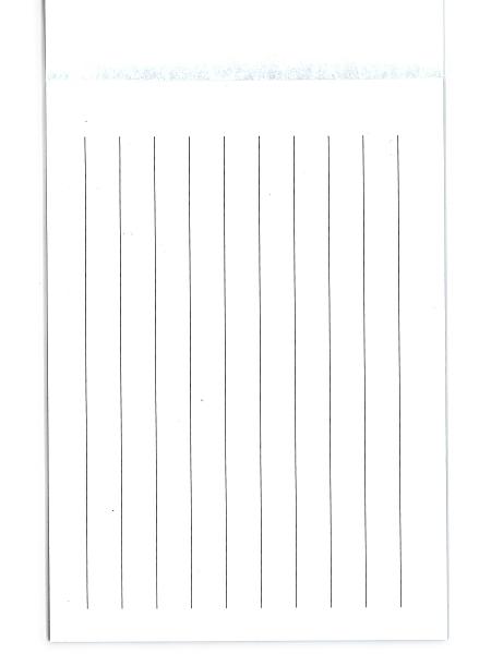 アピカ 便箋 雲母 和風便箋 セン56 Apica 日本ノート ニッポンノート 紙製品 事務用 レター 便り 手紙 筆記用紙 封書 書状 お礼状 書簡箋の通販はau Pay マーケット ブングショップドットコム