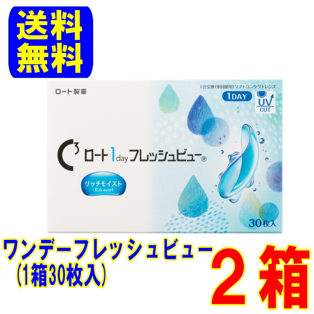 ワンデーフレッシュビュー リッチモイスト 2箱（1箱30枚入）ポスト便 送料無料 1日使い捨て コンタクトレンズ ワンデー コンタクト ロート製薬