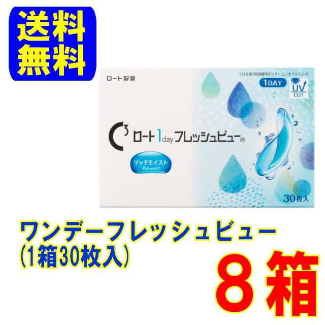 ワンデーフレッシュビュー リッチモイスト 8箱（1箱30枚入）送料無料 1日使い捨て コンタクトレンズ ワンデー コンタクト ロート製薬の通販は
