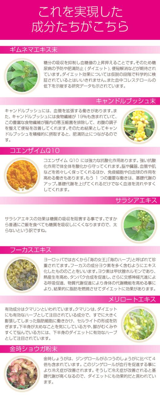 メール便OK!!新発売!!大人気[脚専用]Dietサプリメント【Salasia Majicスレンダーレッグ】送料代引き無料 5個セット_1
