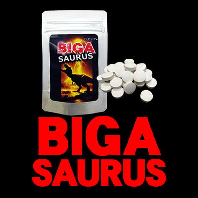 送料無料♪新発売!!大人気メンズサプリ【BIGA SAURUS】2個セット