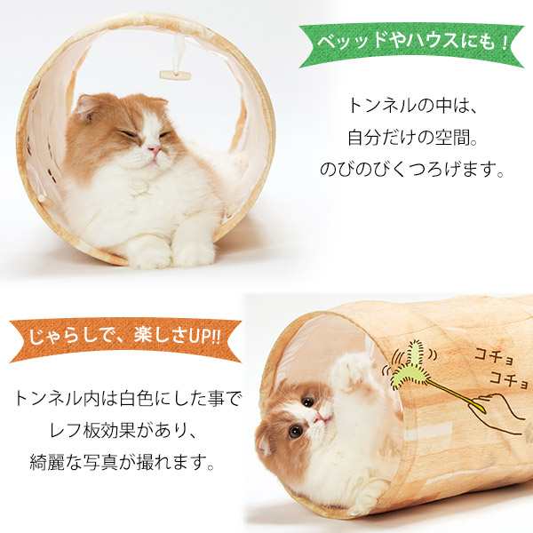 株式会社 猫壱 [猫壱] キャットトンネルスパイラル 木目柄 入数12 【2ケース販売】