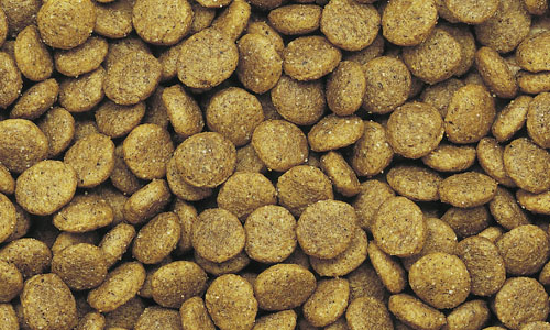 ⑤NC子犬 大型犬 チキン 15kg ⑤NC子犬 大型犬 チキン 15kg ニュートロチキン＆玄米中〜大型犬