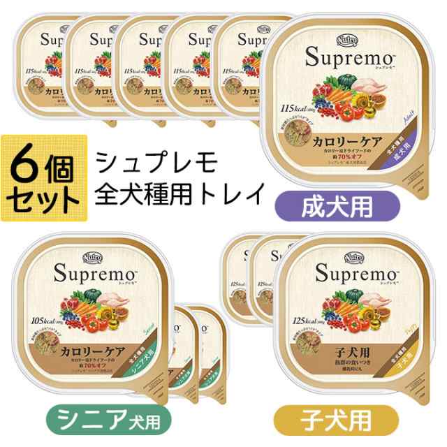 ニュートロ シュプレモ ターキー 成犬用6個 賞味期限2025.01.04