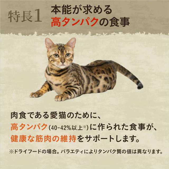 数量限定 おまけ付 公認店 ニュートロ ワイルドレシピ キャットフード