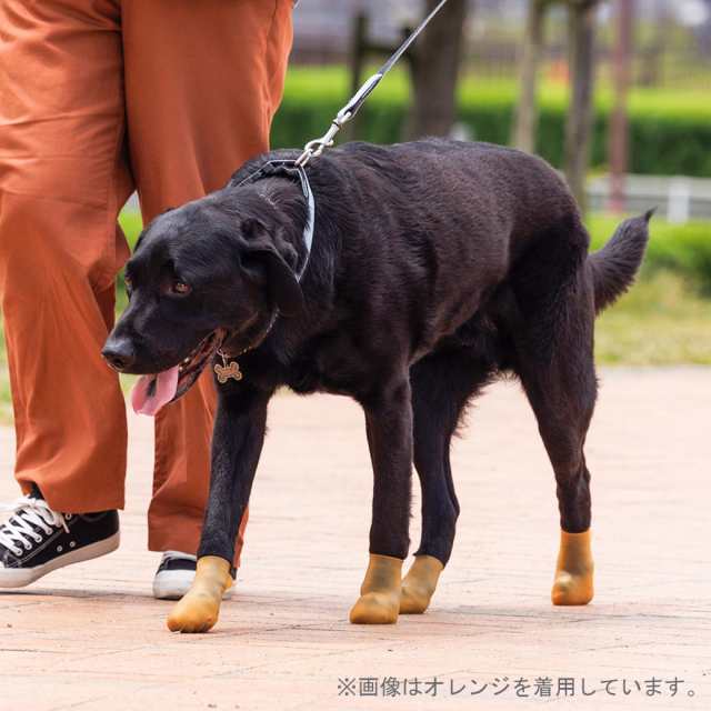 ペットアドバンス 犬用ブーツ パウテクト L ブルー 2個入 □ 犬用 大型