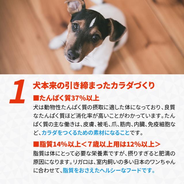 リガロ ハイプロテインレシピ 子犬・成犬用 ターキー 3.6kg_3