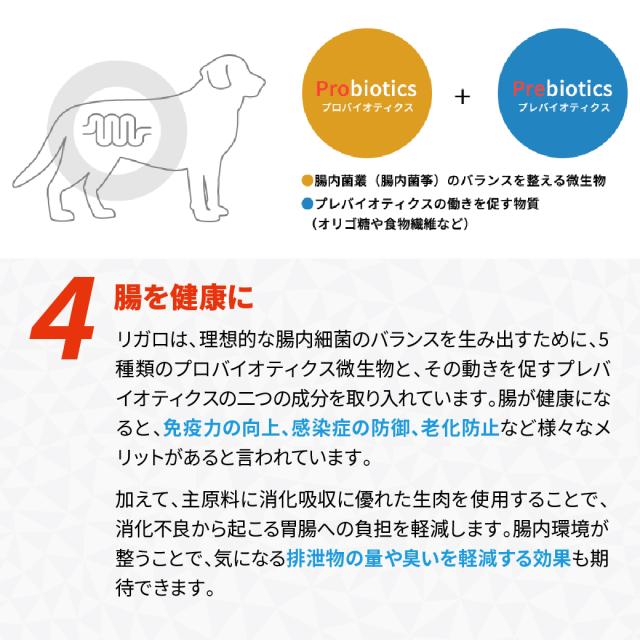 リガロ ハイプロテインレシピ 子犬・成犬用 ターキー 3.6kg_6